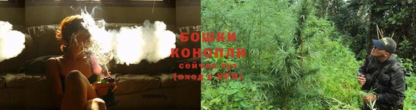 гидропоника Пестово