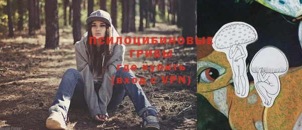 метадон Пересвет